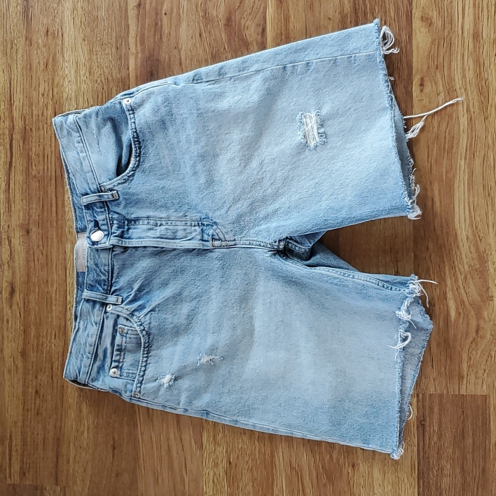 Everlane Size 28 Cheeky Long Short